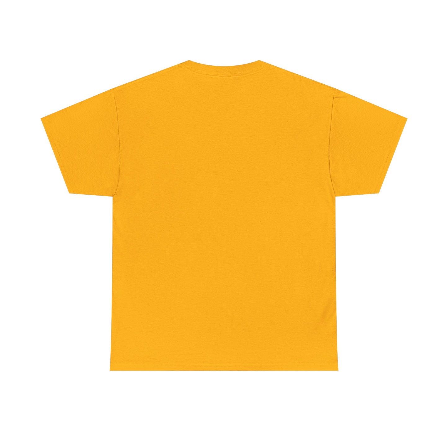 What If It All Goes Right? | Soft Manifestation Tee for Hopeful Souls