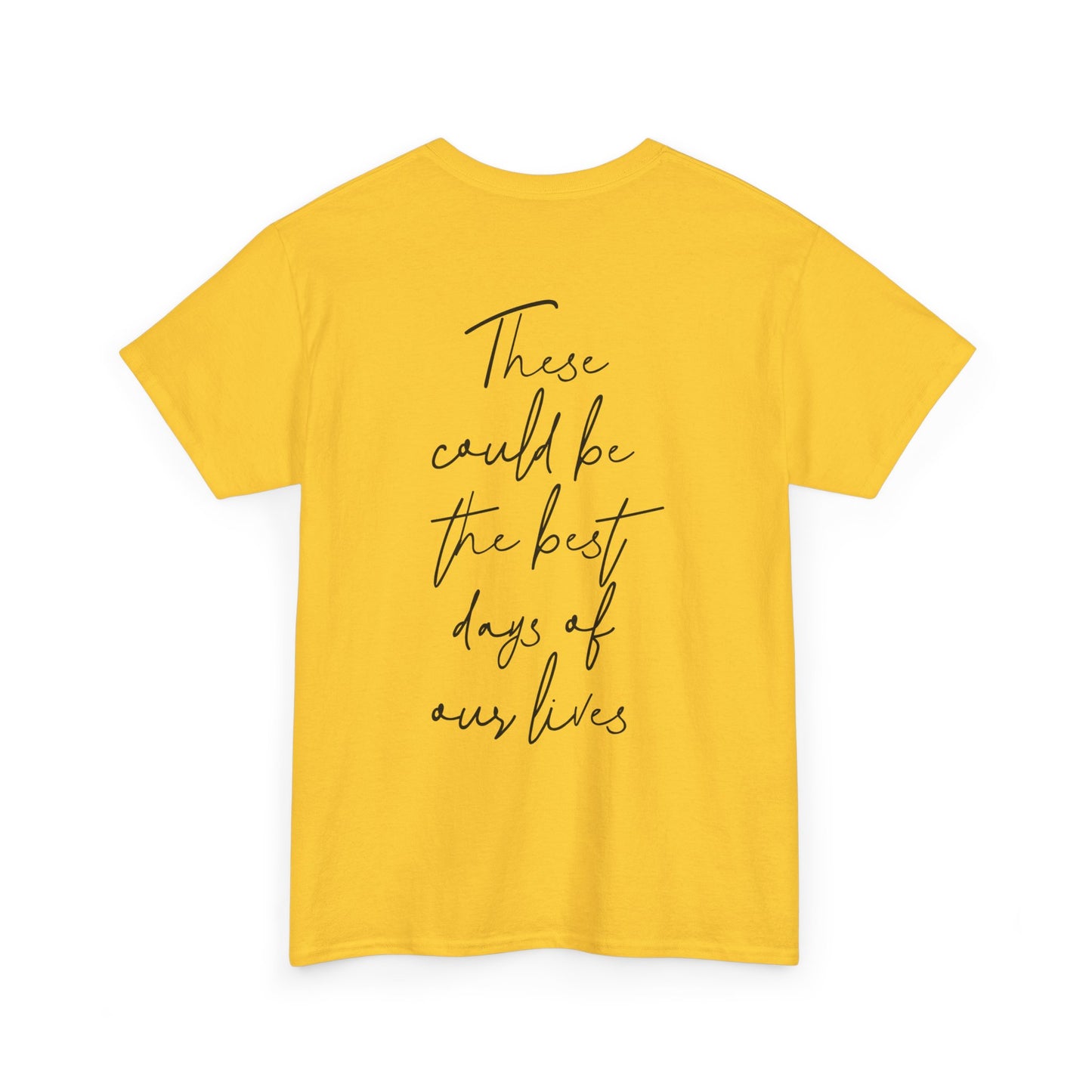 These Could Be The Best Days Of Our Lives Oasis t-shirt