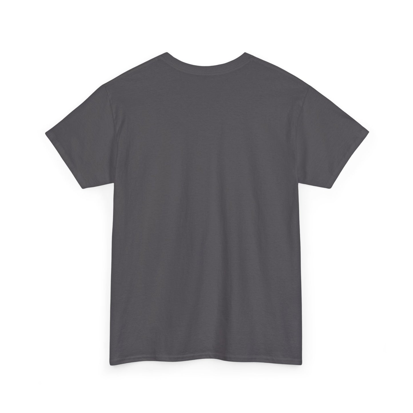 Searching for the Sun T-Shirt – Gentle Quote Tee for  Quiet Strength & Hope