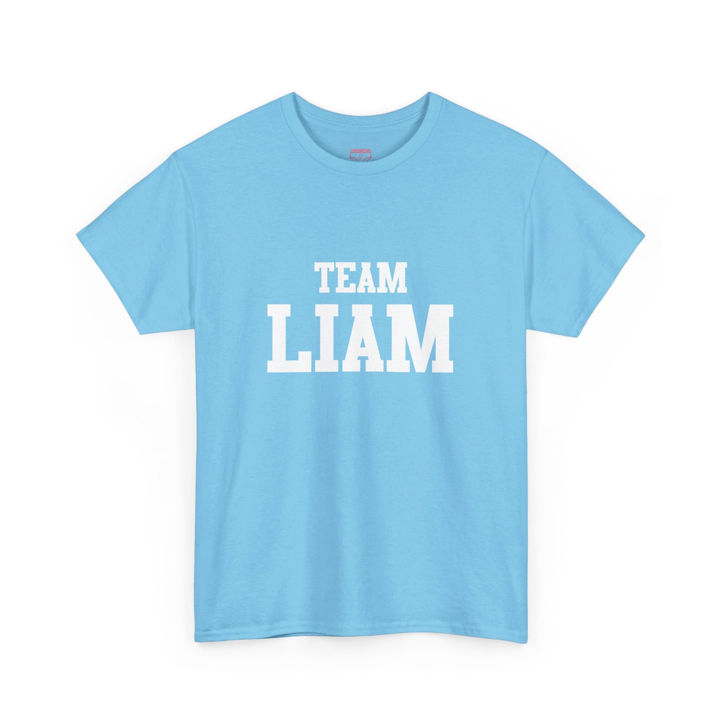 TEAM LIAM Oasis Band t-shirt