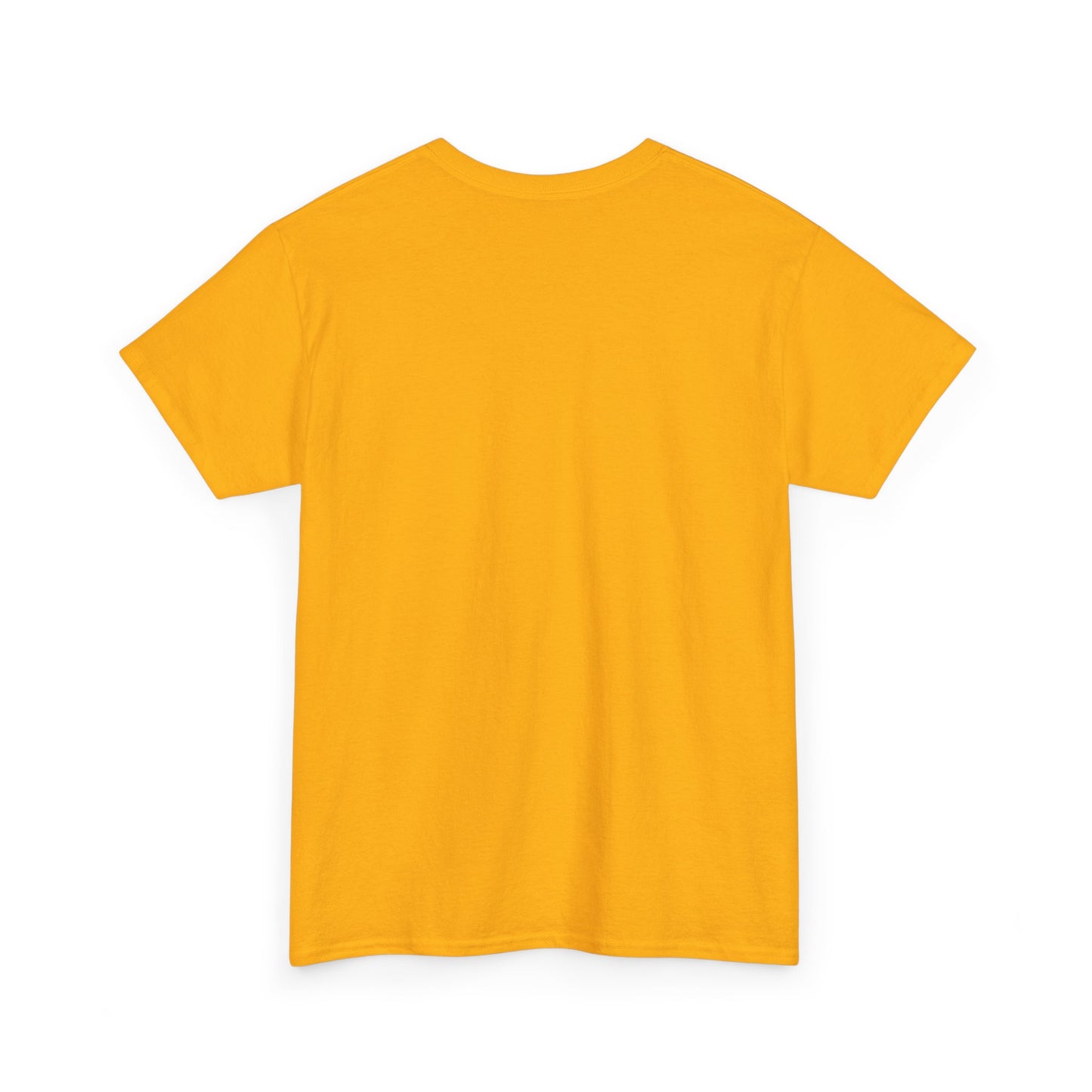 What If It All Goes Right? | Soft Manifestation Tee for Hopeful Souls
