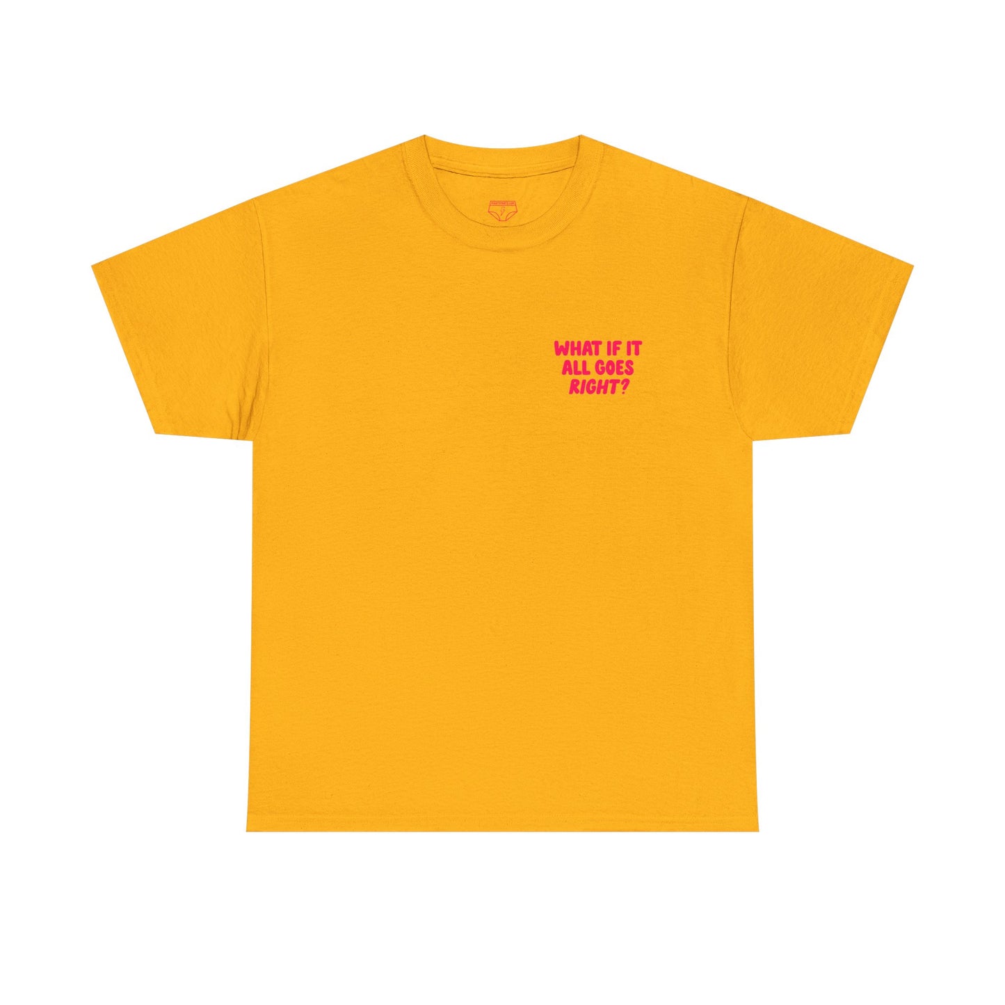 What If It All Goes Right? | Soft Manifestation Tee for Hopeful Souls